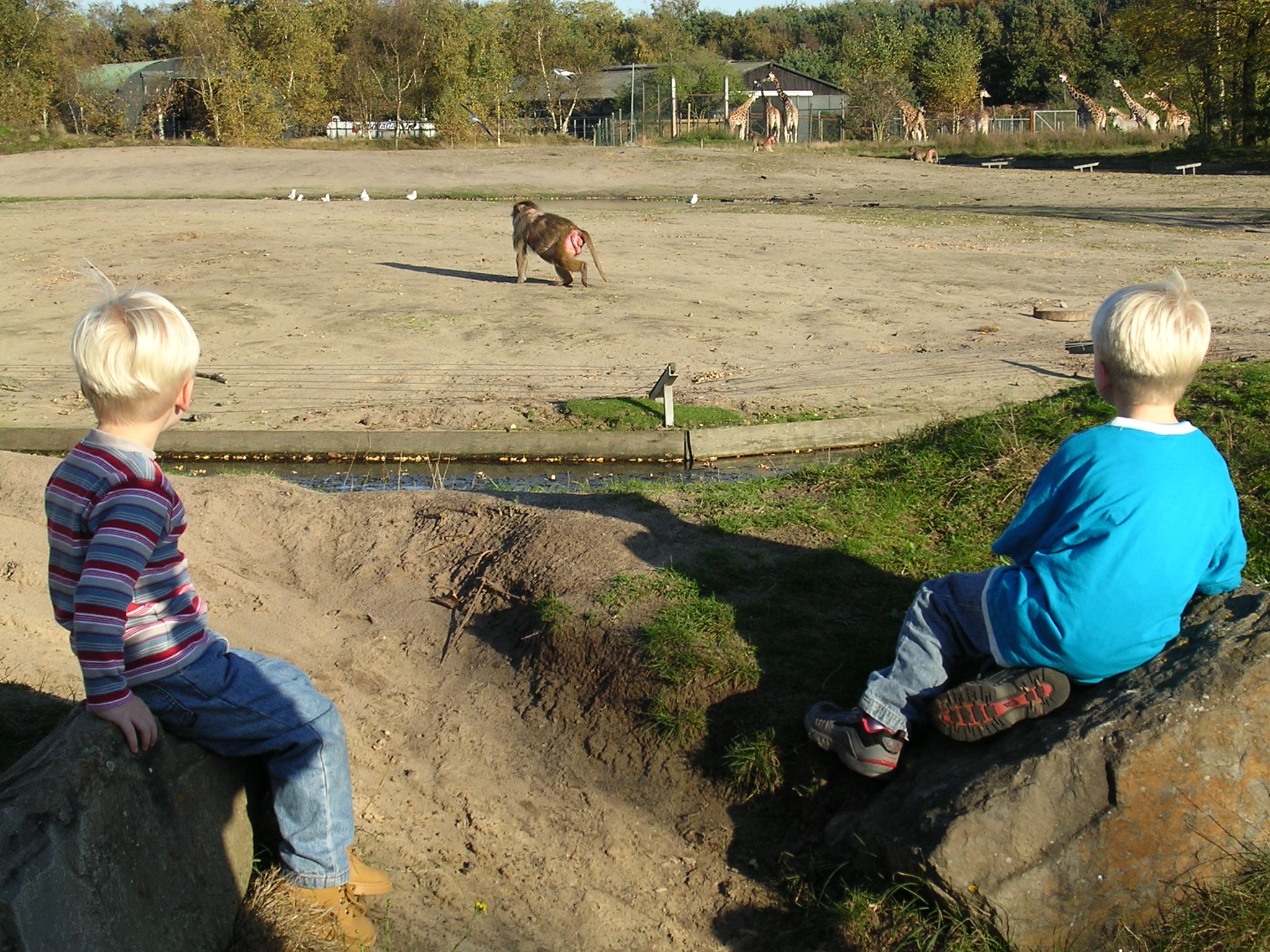 Kaj&Jens,Beekse Bergen 2005